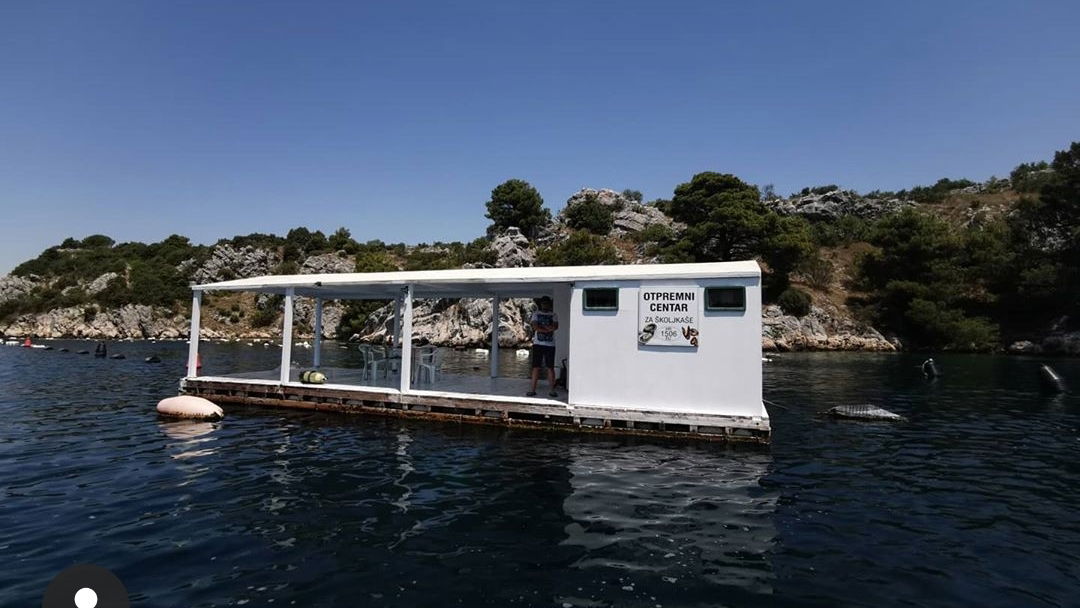 Fresh Mussels & Oyster Floating Market