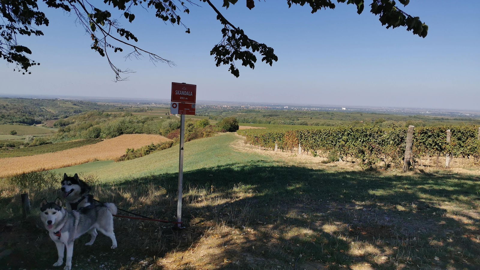 Fruška gora - vidikovac Skandala