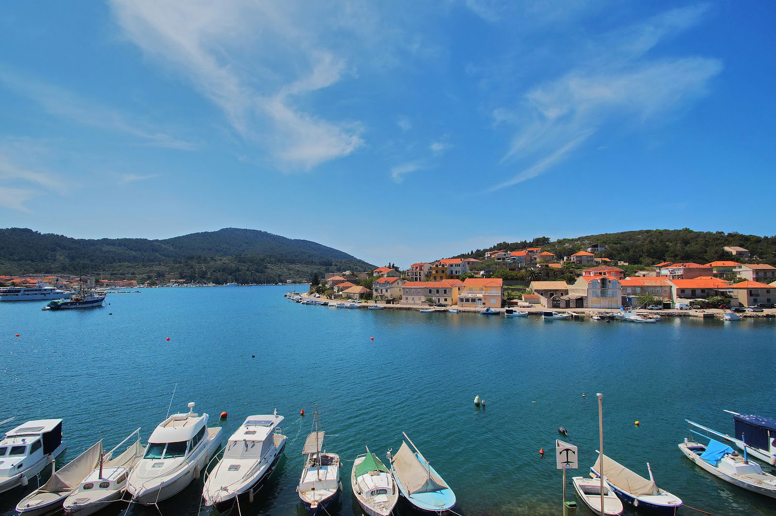 TRAVEL D.C.Dalmatian