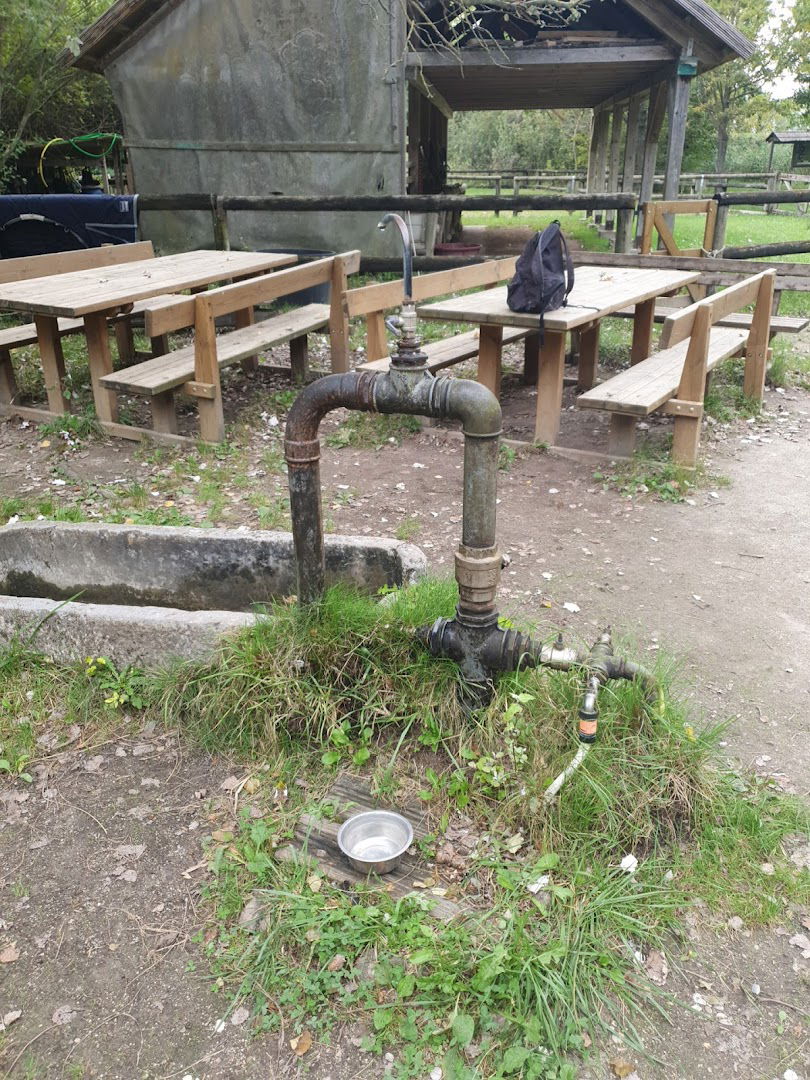 Fontana acqua potabile