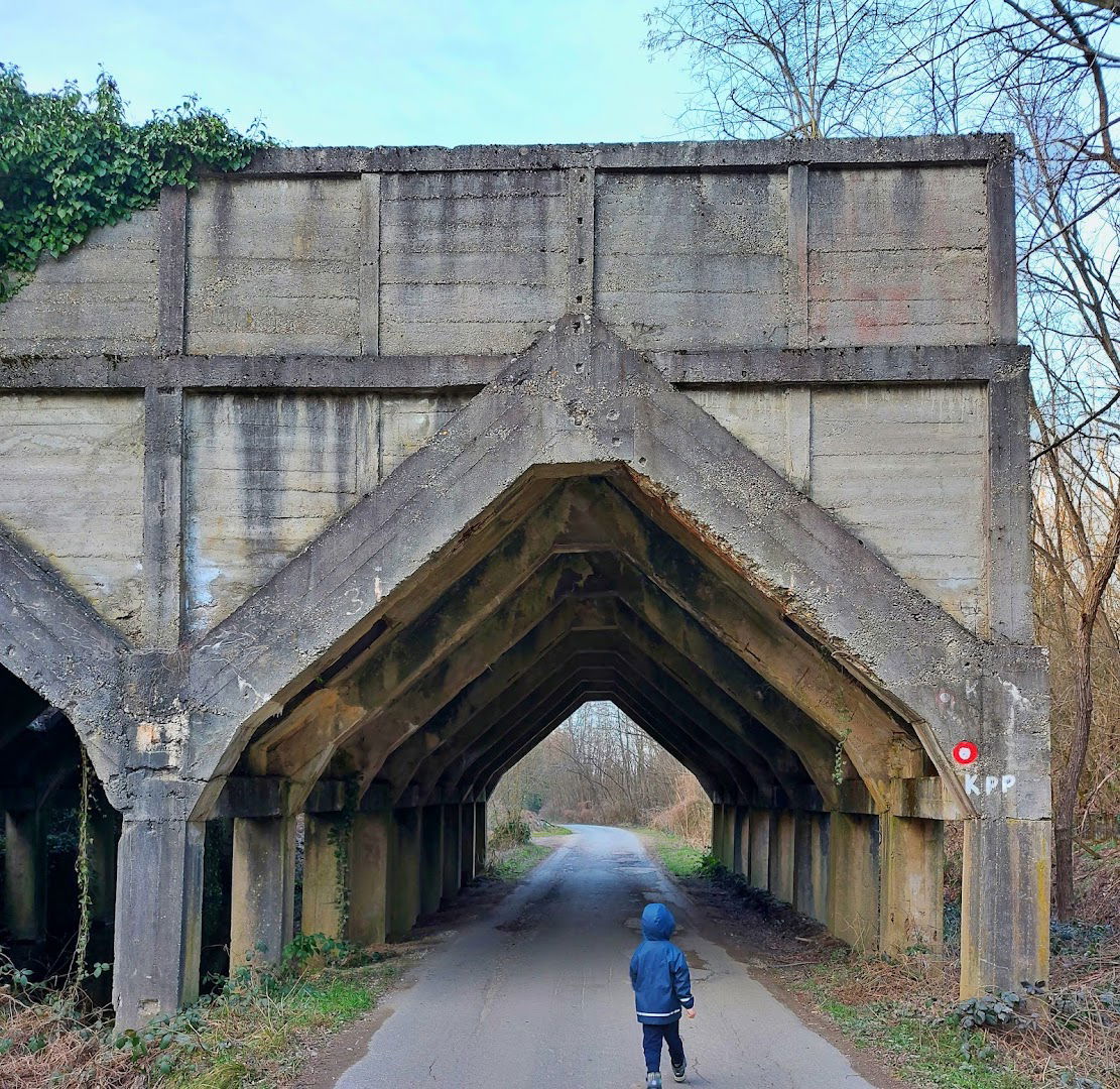 Separator za utovar ugljena
