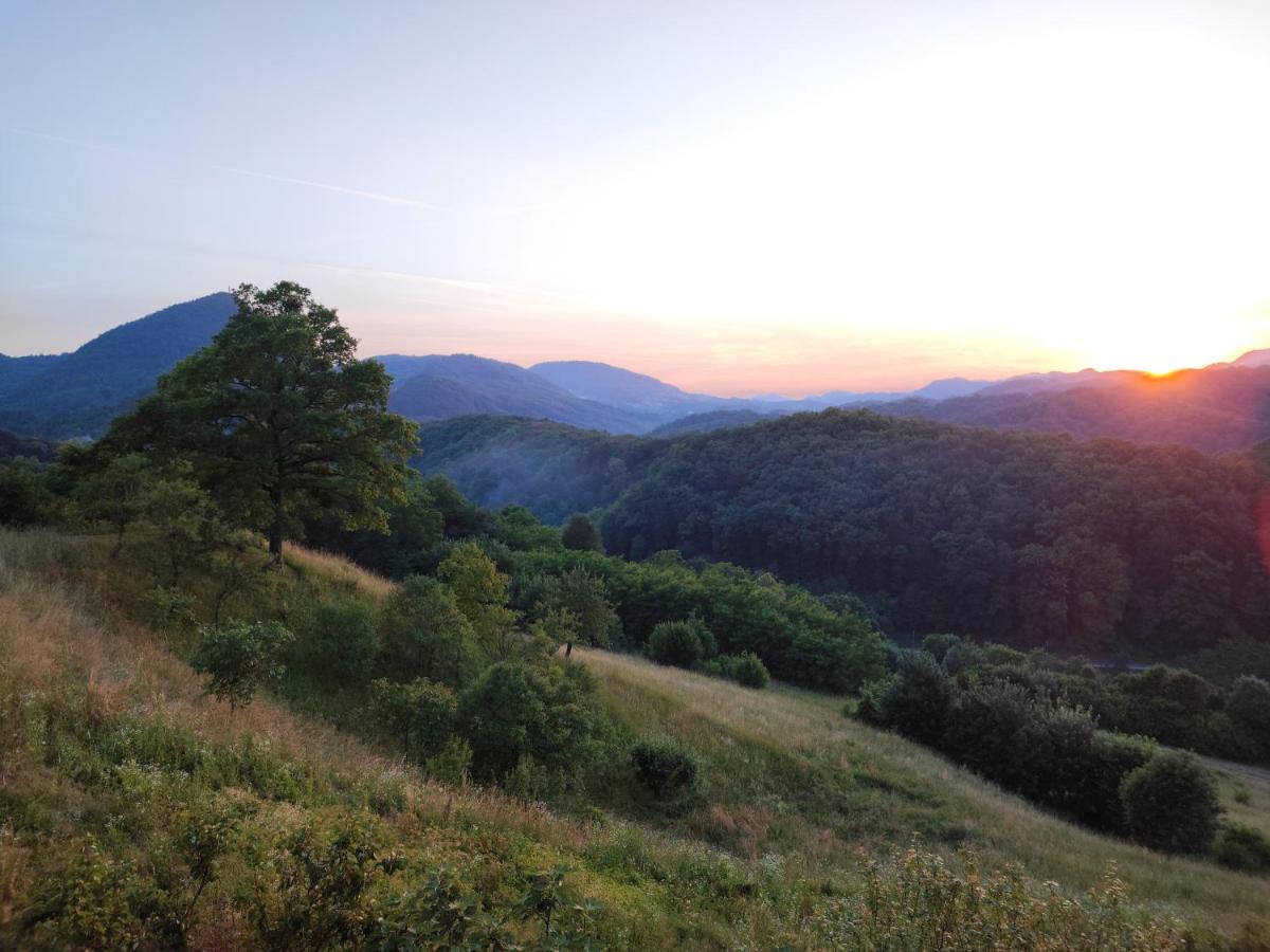 ZAGORA HILLS Apartment