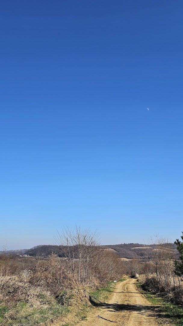 Spomenik Nebojši Jerković i partizanskih boraca
