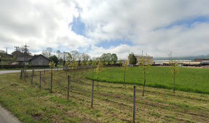 Gaberje pri Dobovi K