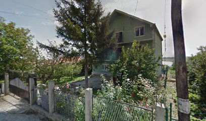 Plastenicka proizvodnja paradajza, prodaja na veliko i malo