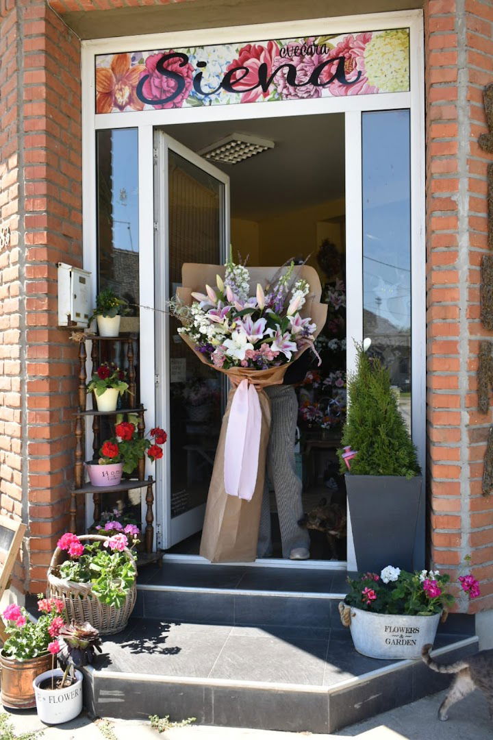 Cvećara Siena