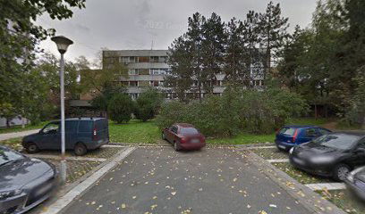 Auto Taxi Dragan Sljivancanin Preduzetnik Beograd (Novi Beograd)