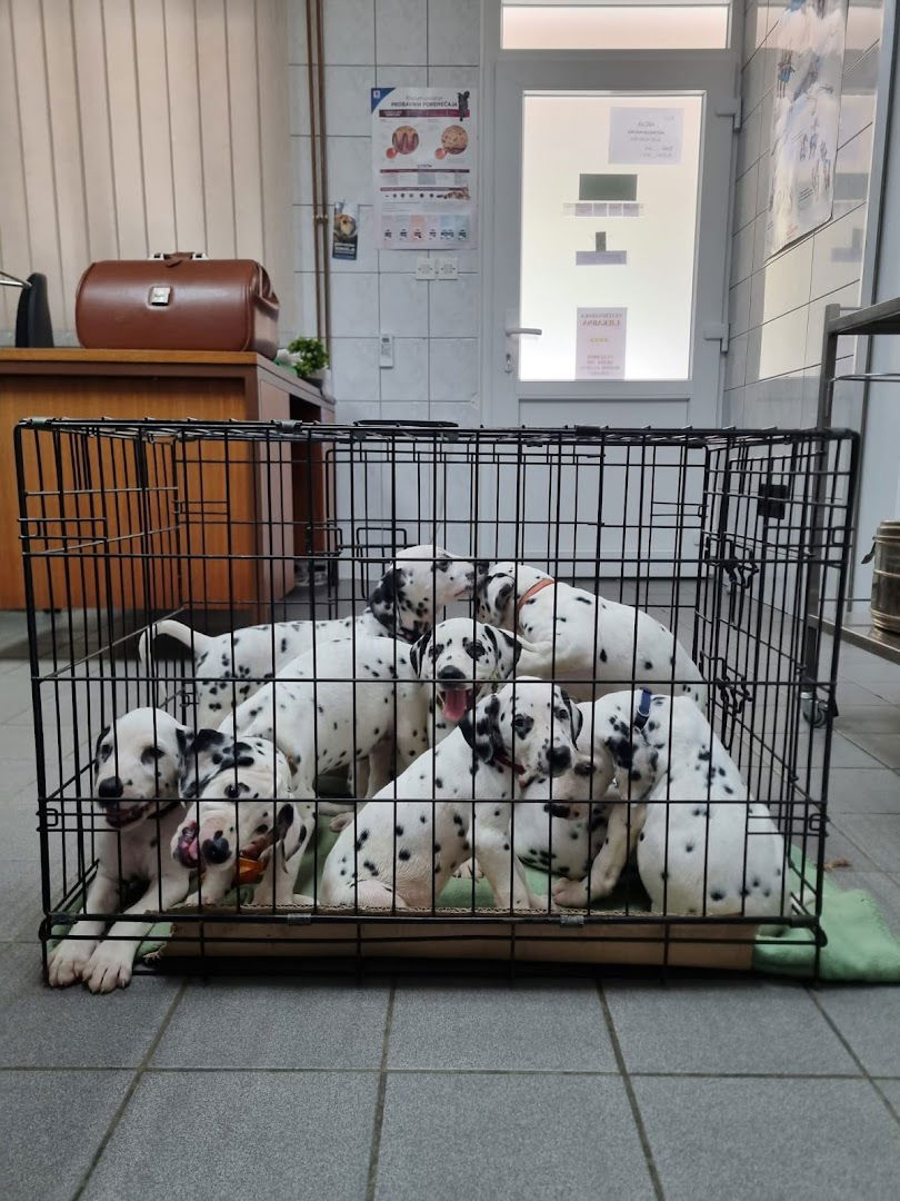 Veterinarska stanica Veterina d.o.o.