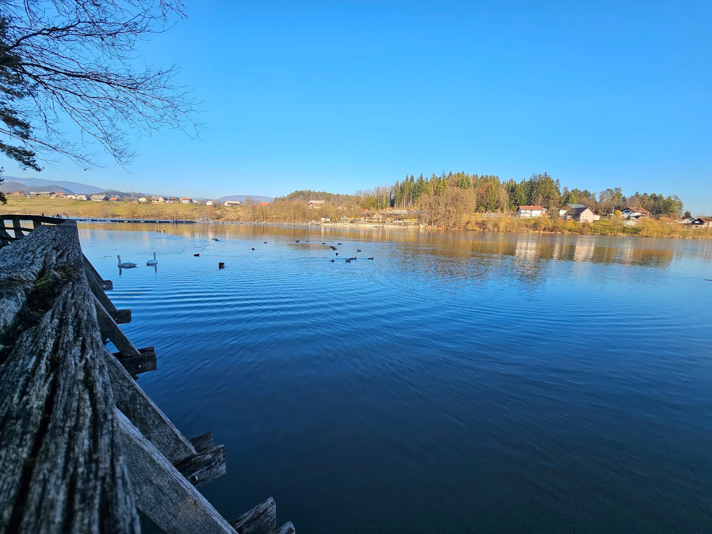 Šmartinsko jezero pri Celju