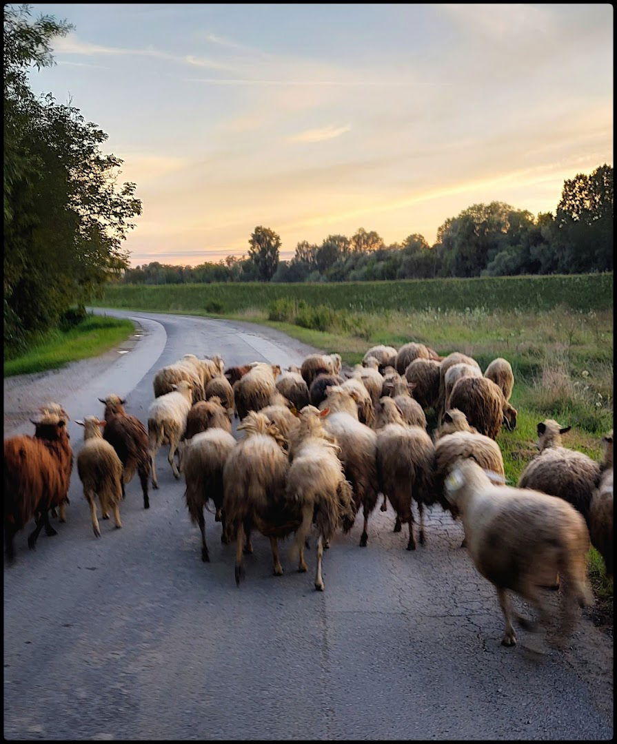 Obaloutvrda Palanjek