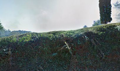 Donja Trebinja cemetery