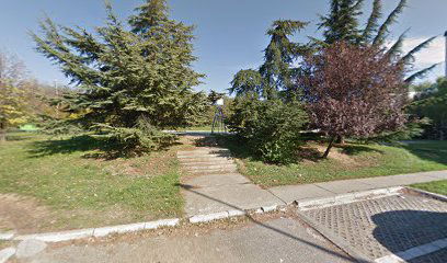 Nikola Kovačević Basketball Court