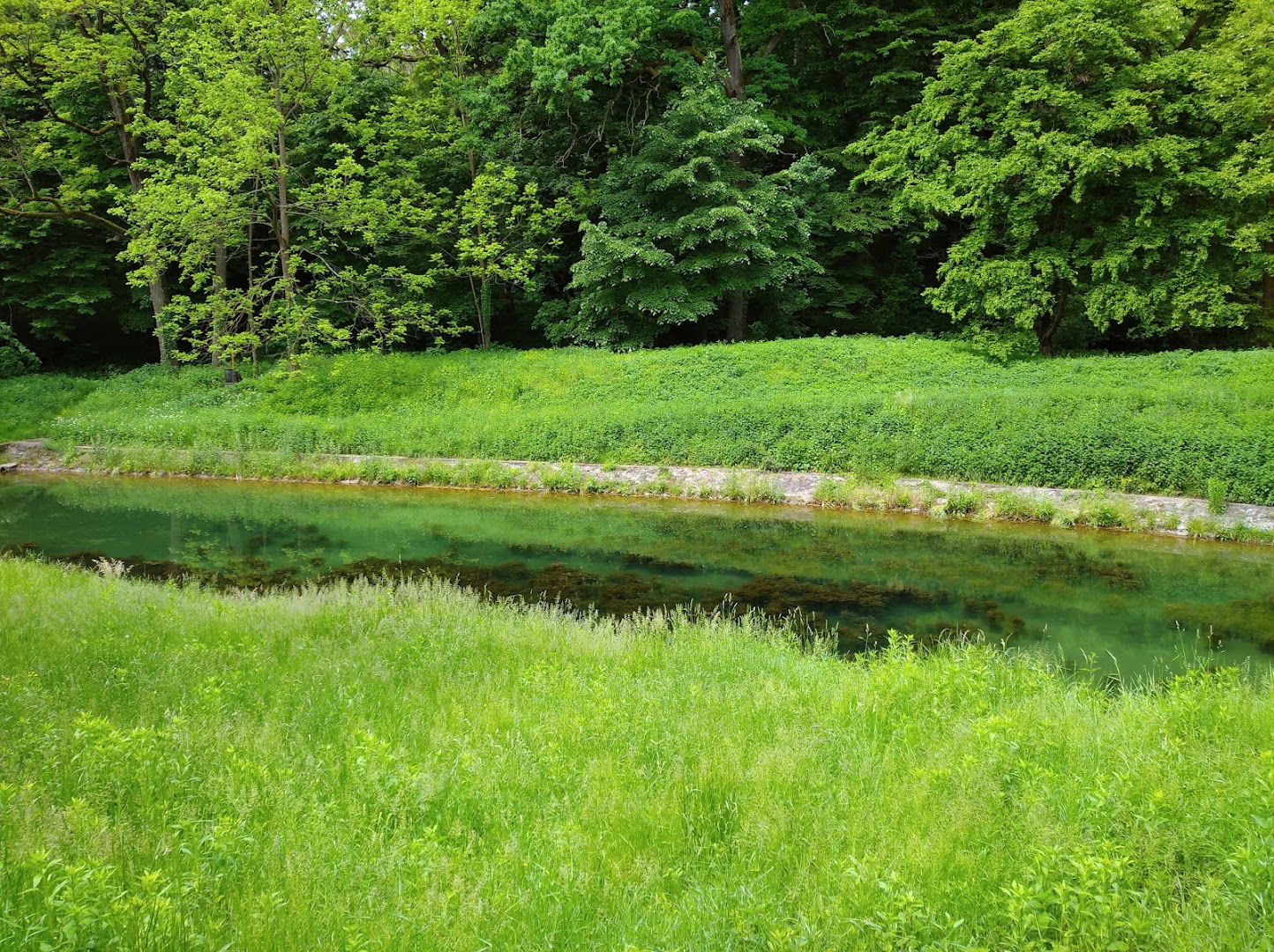 Roman Bath (Izvor Spa, Kulina Spa)