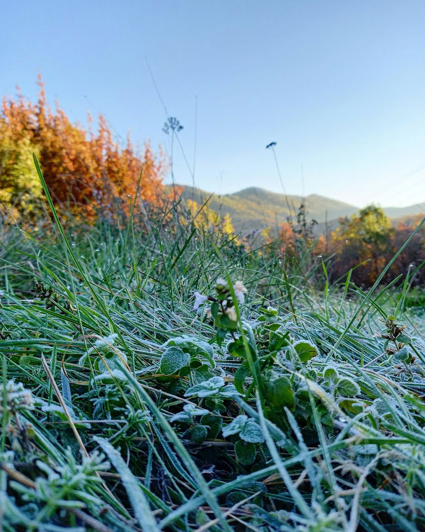 Žabica - početak staze prema planini Iliji