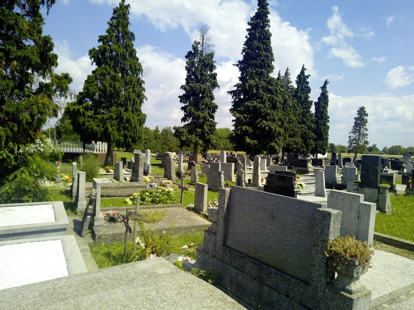 Velika, St. Marko cemetery