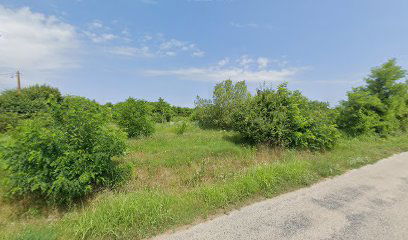 Vajszló, Angyalicpuszta