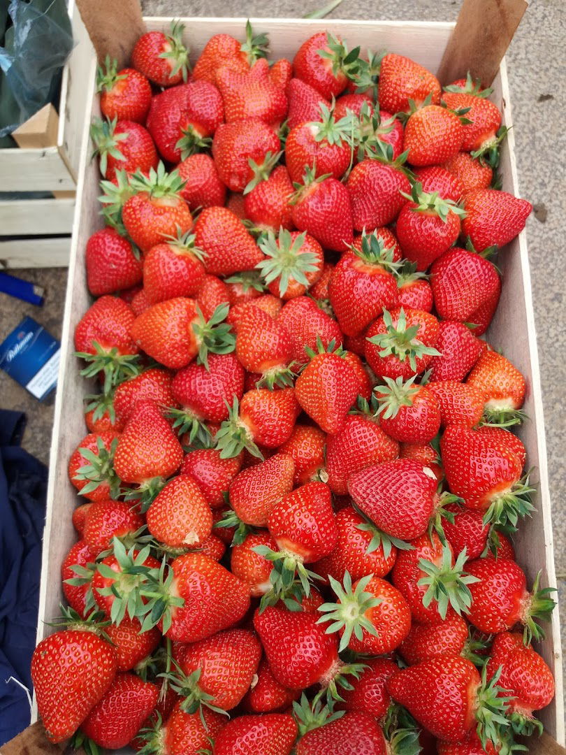 Voćarski proizvodi Đurić