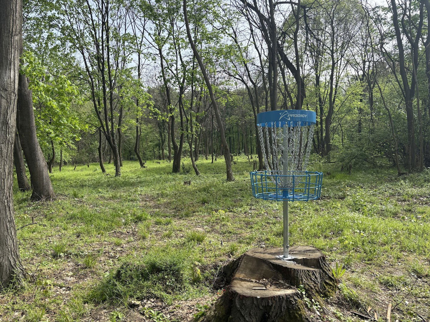 Belgrade Disc Golf Course