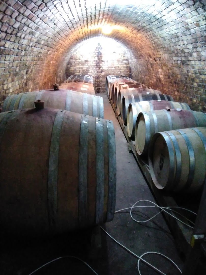 SOMOGYI Cellar