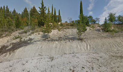 Donji Karin cemetery