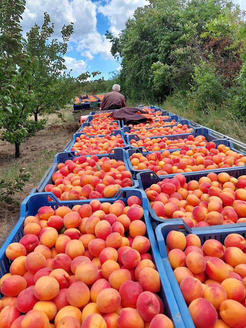 Пољопривредно газдинство "Моравчевић"