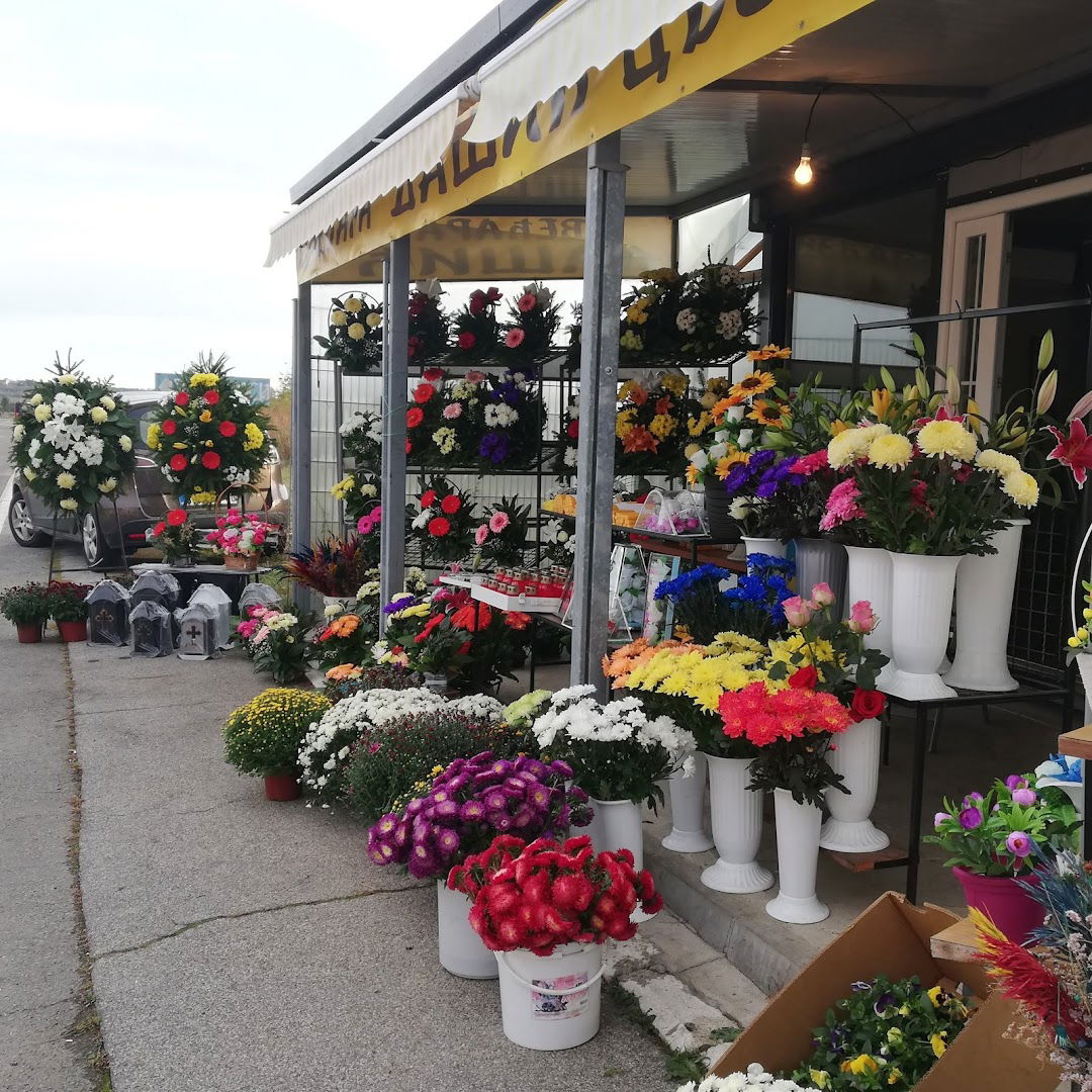 Cvećara Dašić Orlovača