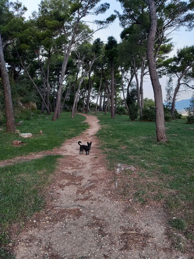 Glavičina (Turska kula)