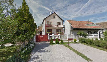 szr NEDELJKO ELEKTRONIK