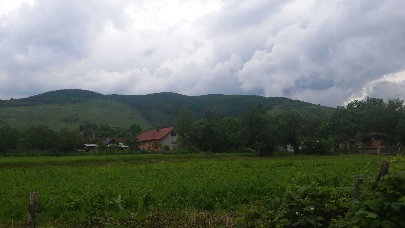 Centrul de Informare şi Promovare Turistică