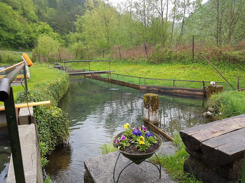 Ribogojilište Homer - Homer Fishfarm