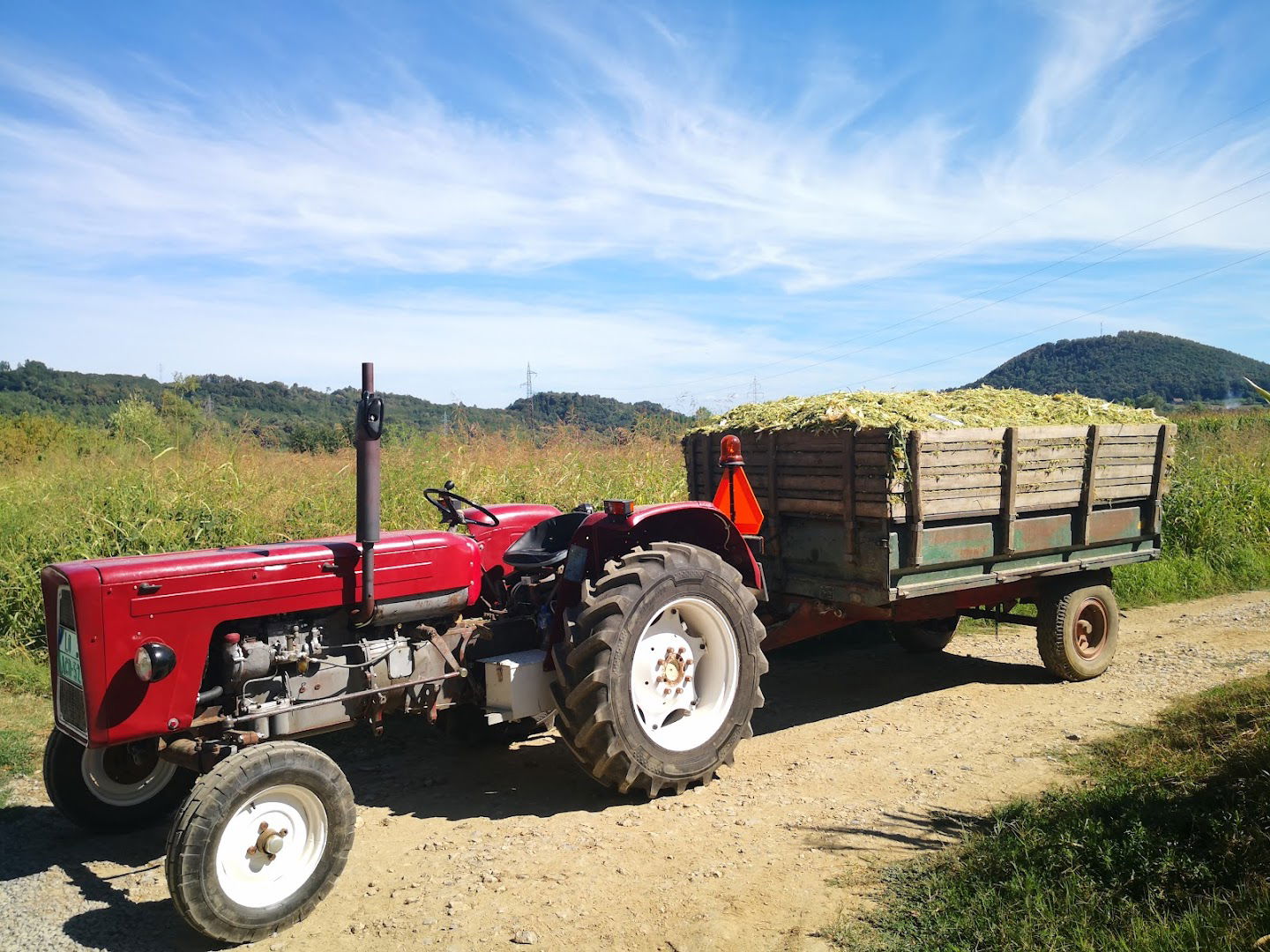 Poljoprivredno Gazdinstvo Negić