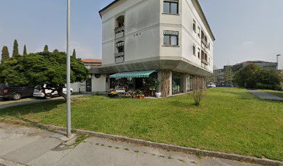 EBIART - Bacino Territoriale di Gorizia