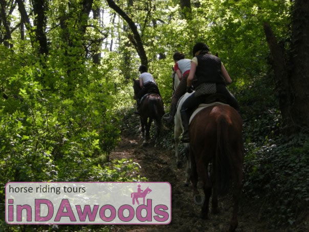 INdaWOODS - horse riding tours