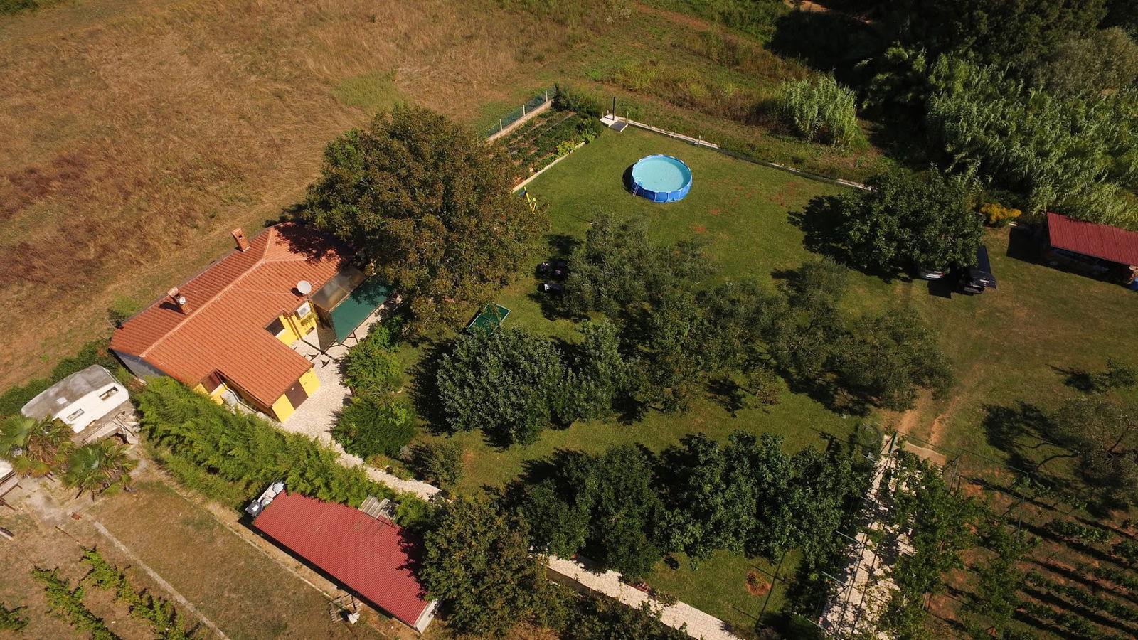 Under the Walnut Tree Pomer
