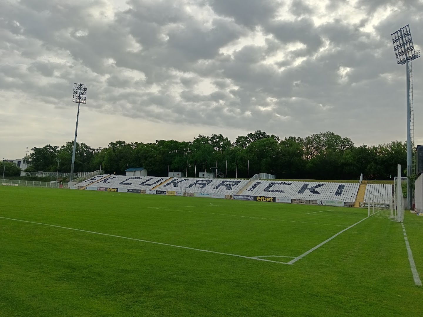 Stadium Čukarički