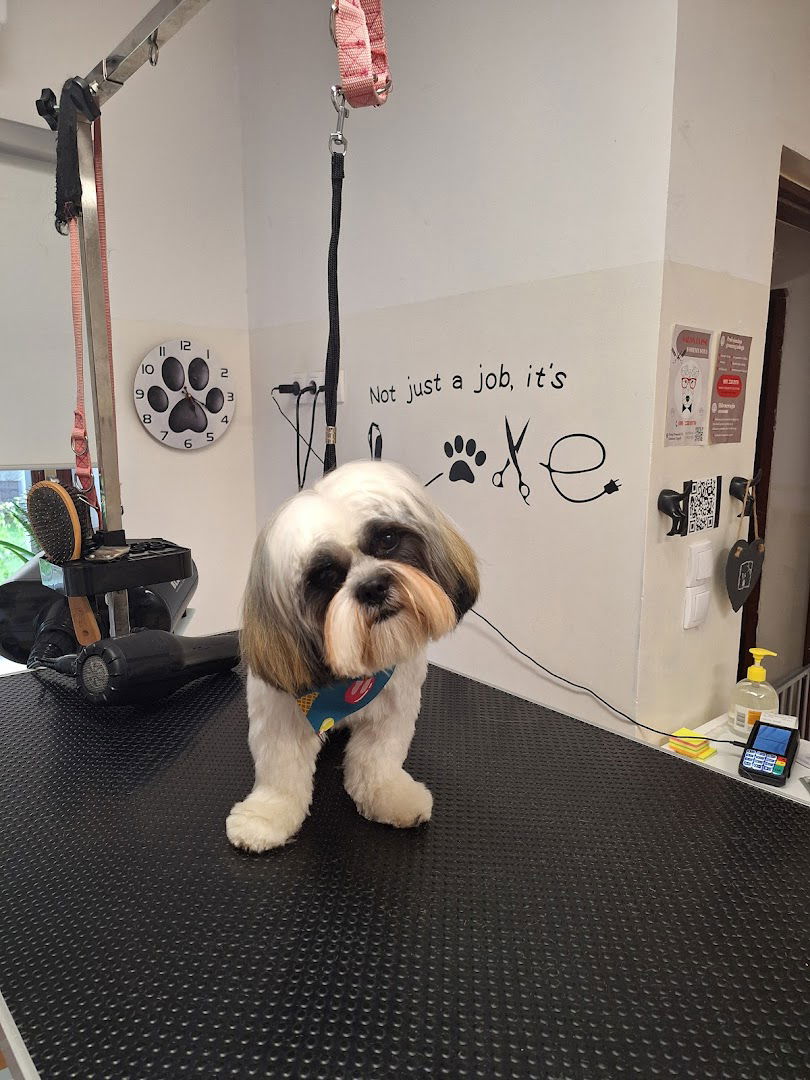 Foremy Foxy - salon za pse