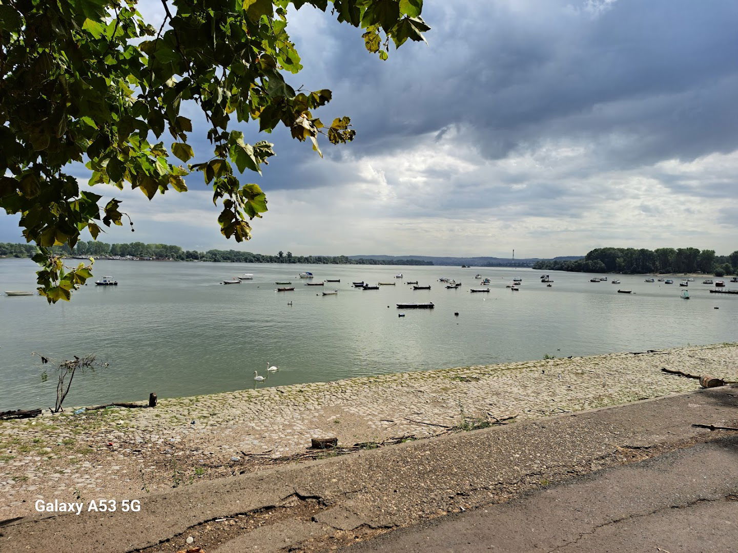 Zemunski Kej na Dunavu