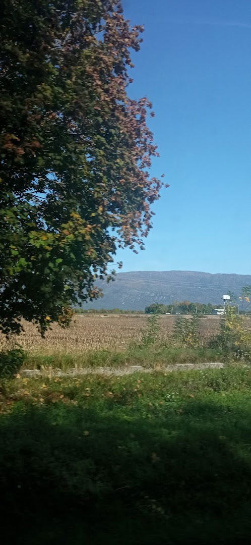 Arbol, inženiring in svetovanje d.o.o.