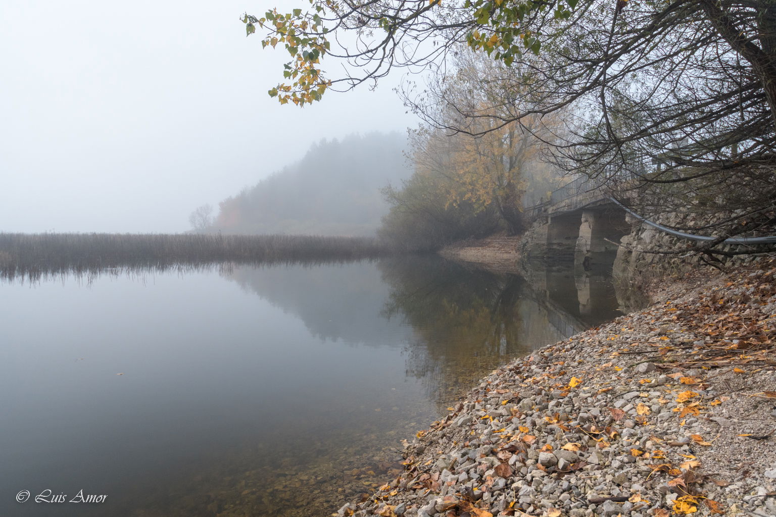 Čebelarsko društvo Cerknica