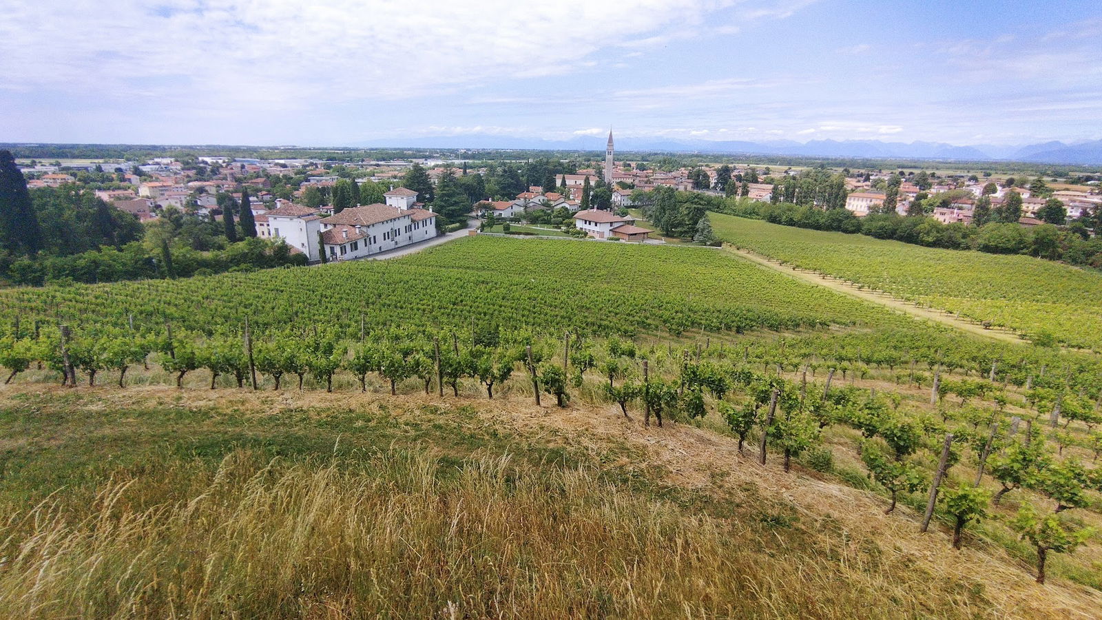 Villa di Toppo-Florio