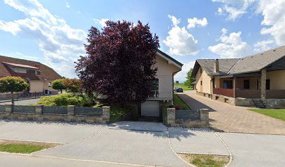 Majer Milan s.p. - Avtoličarstvo in avtokleparstvo