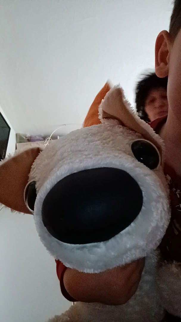 Vukomerec-okretište