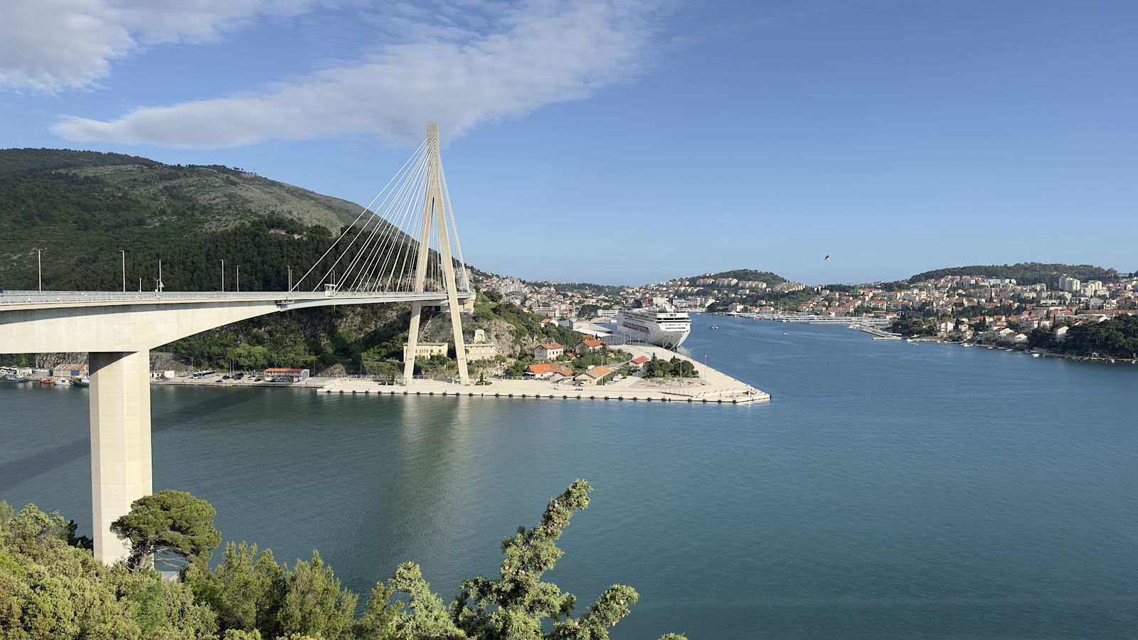 Dr. Franjo Tuđman Bridge