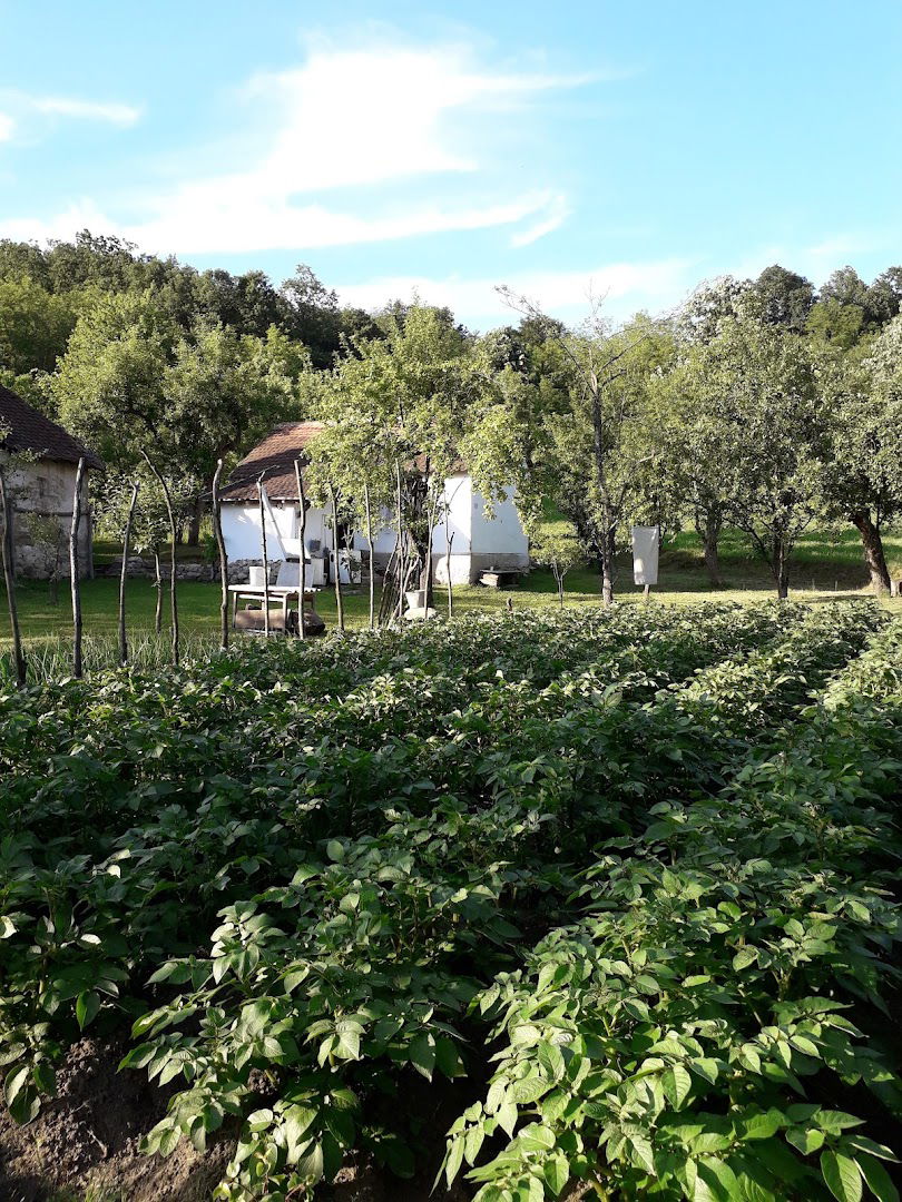 Horseshoe Fantazmogorija