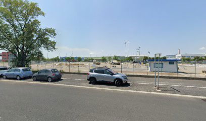 Trading Team Srl Trading Team Srl Operazioni E Servizi Doganali Spedizionieri Internazionali