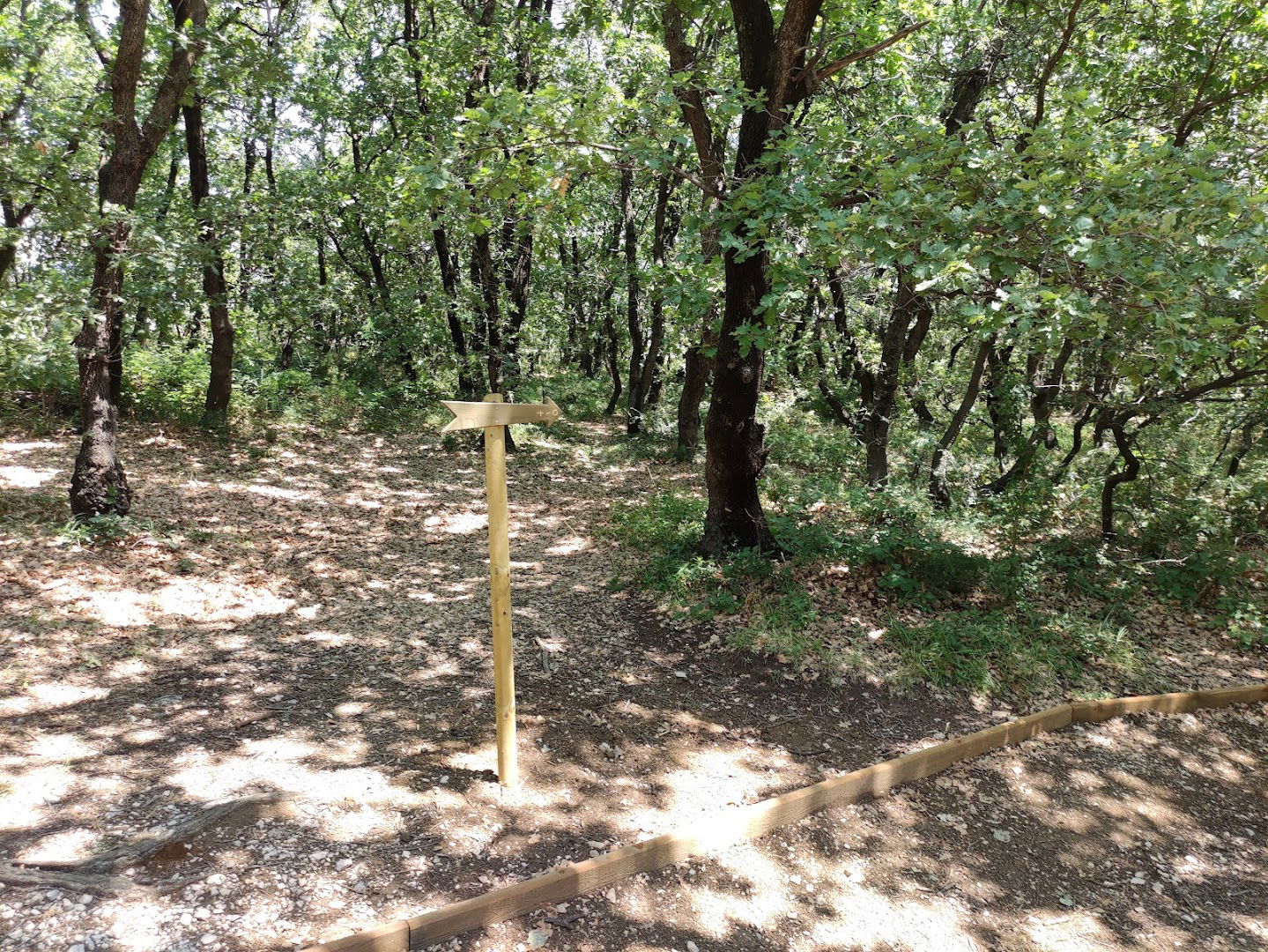 Poučna staza u posebnom rezervatu šumske vegetacije Dubrava-Hanzina