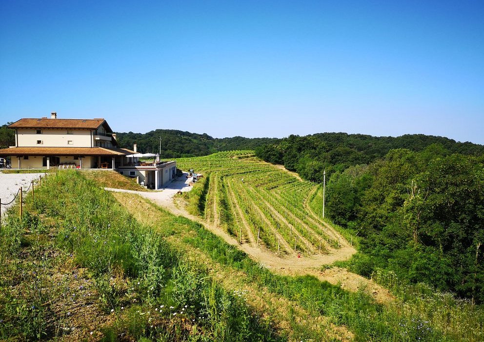 Klanjscek wine & stay