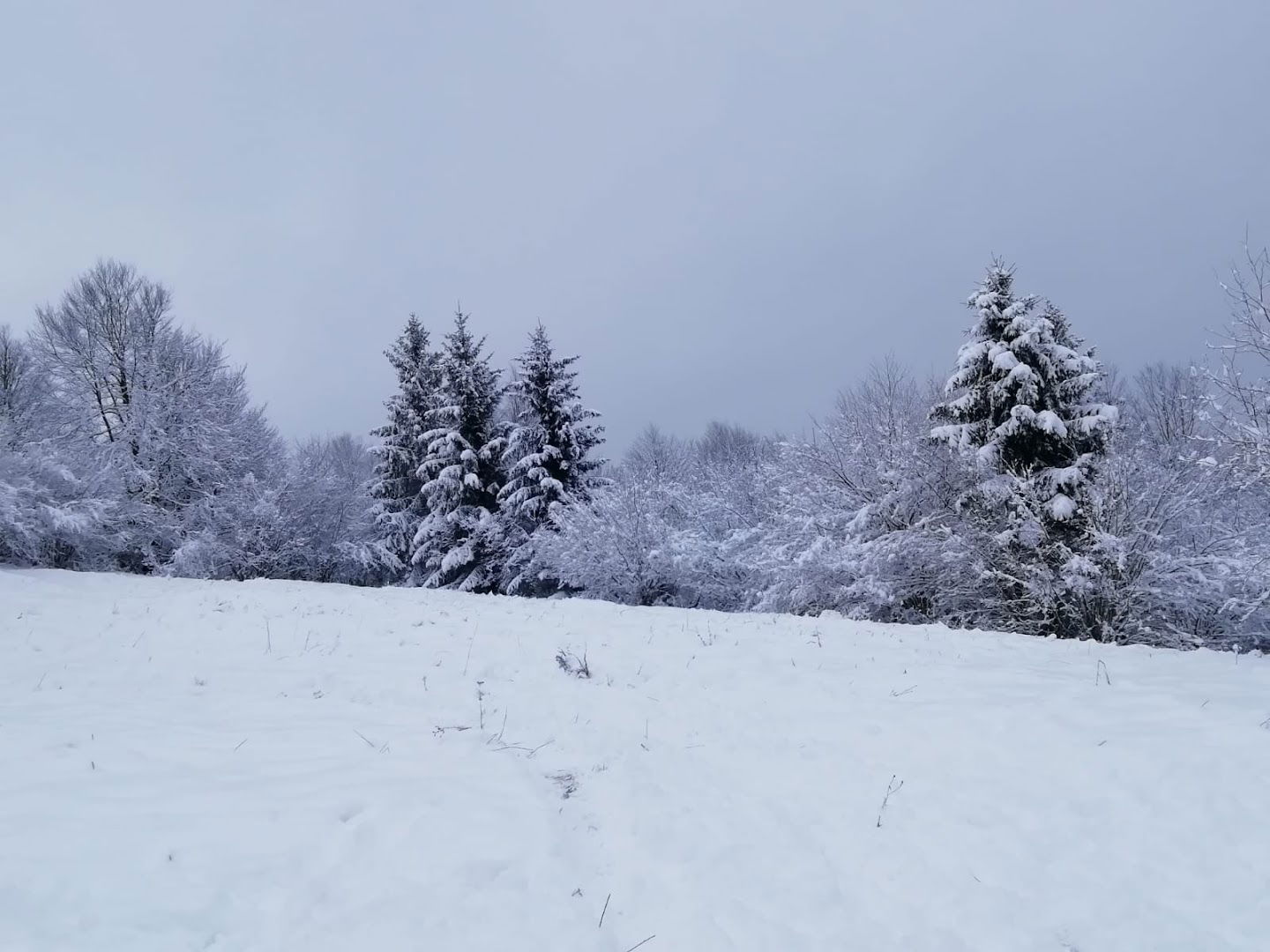 intersection on the loop Pentlja