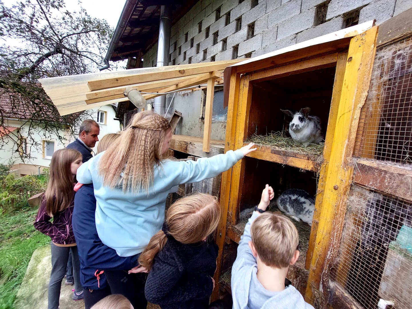 Domačija Vesel - apartma, glamping, turistično vodenje, organizacija dogodkovi in animirani programi