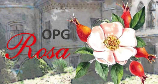 OPG ROSA